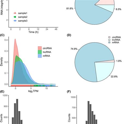 RNA Transcript Graph 的图像结果