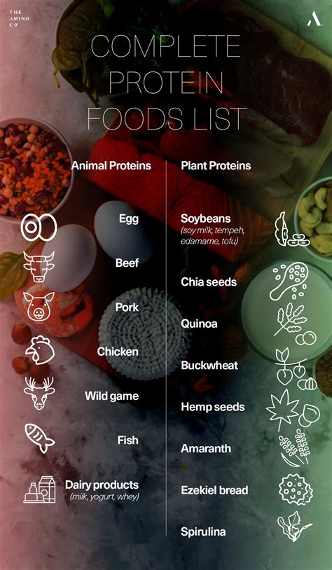 Complete Protein Food List – The Amino Company