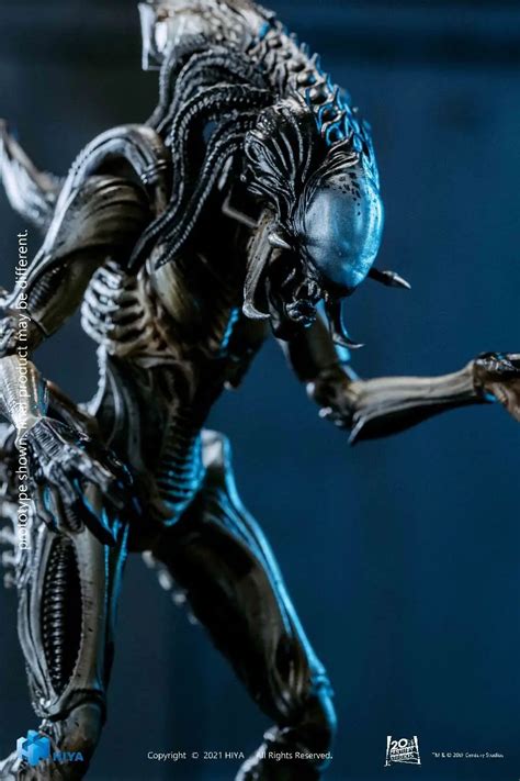 Alien Xenomorph Predalien 的图像结果