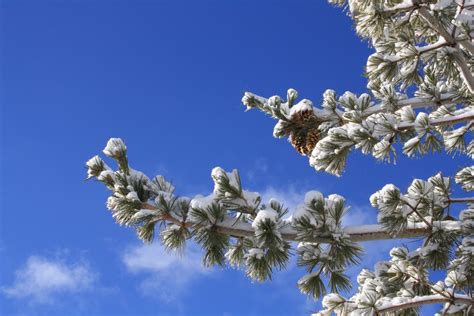 Winter Solstice Celebration, 300 Wakara Way, Salt Lake City, UT, United ...