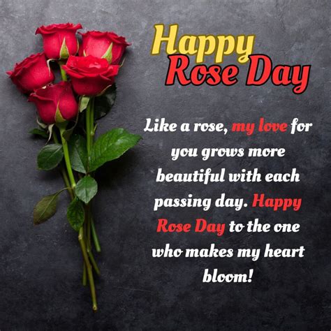 Happy Rose Day 2025: Heartfelt Wishes, Quotes, Messages, and Status ...