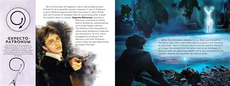 The Wand Chooses the Wizard (Harry Potter): Christina Pulles, Karen ...