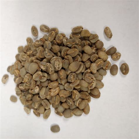 Image result for Java Island Coffee Logo