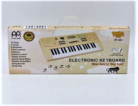 Premium Collection Electronic Piano Keyboard for Kids with Microphone ...
