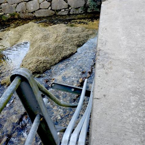 Riestra pedirá autorización a la Confederación para mejorar y ampliar ...