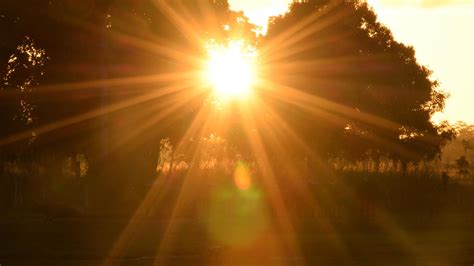 Morning Routine for Vacation 的图像结果