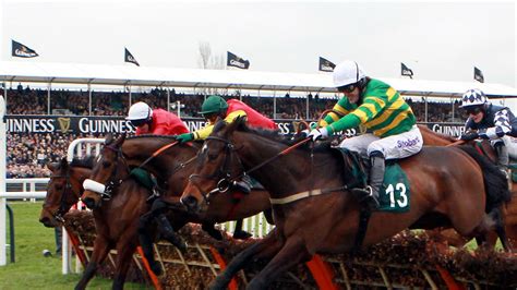 Donn McClean: Five handicappers | Racing News | Sky Sports