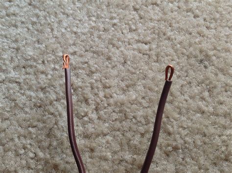 Green Tree Python Tub Setup 的图像结果