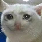 Gear Giver Script Hack 的图像结果