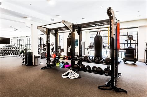 Gym Equipment 的图像结果