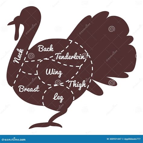 Turkey Butcher Diagram. Poultry Meat Cut Guide Stock Illustration - Illustration of farm ...