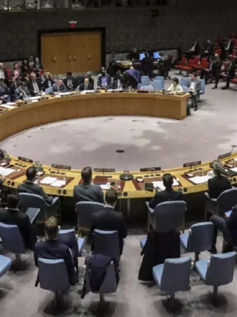 UN Security Council | Times Now