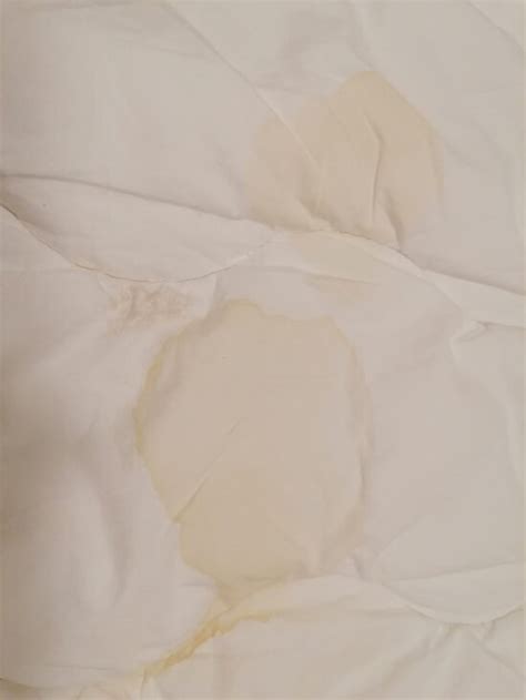 SIF APARTMENTS BY HEIMALEIGA (Reykjavik) - B&B Reviews, Photos, Rate ...