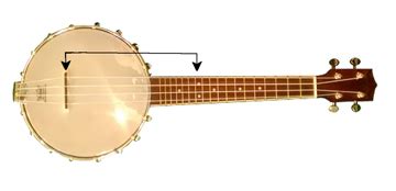Banjolele Tutorial 的图像结果