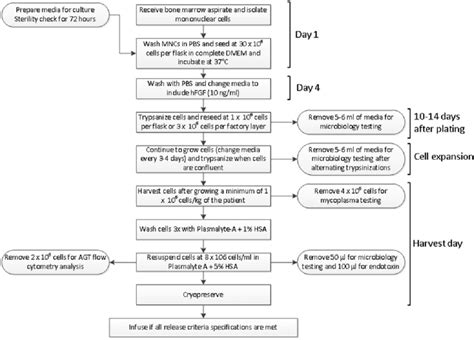 Image result for Cell Manufacturing Process Layout