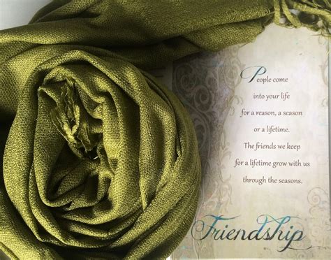 Smiling Wisdom - Olive Earth Green Pashmina Scarf Reason Season ...