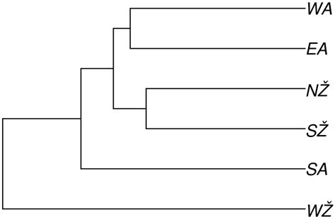 Inferring Effective Population Size and Divergence Time in the ...