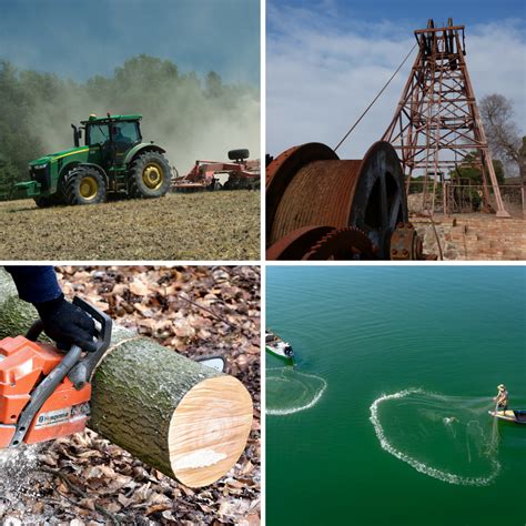 Sectores sociales en economía - Actividades Económicas