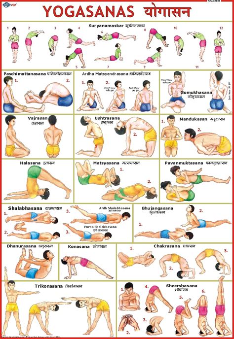 Yoga Chart ( 70 x 100 cm ) [wall_chart] Vidya Chitr Prakashan,yoga [Jan ...