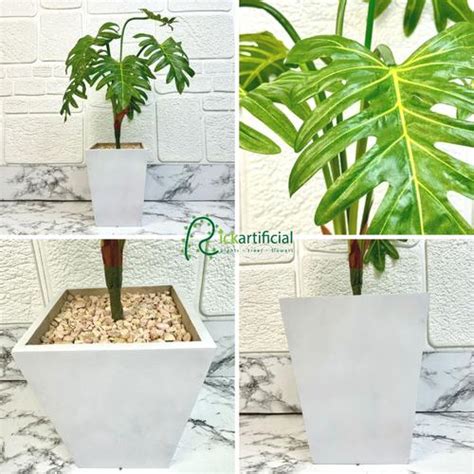 Jual Pohon Artificial Tanaman Daun Jari Philo X7 Latex Pot Kayu Kotak ...