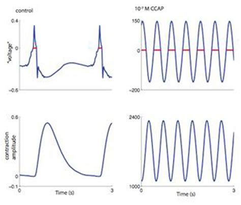 Generative Model 的图像结果