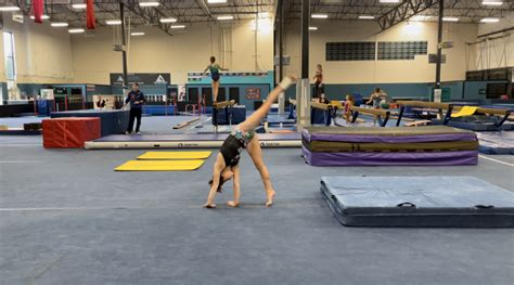 Gymnastic 的图像结果