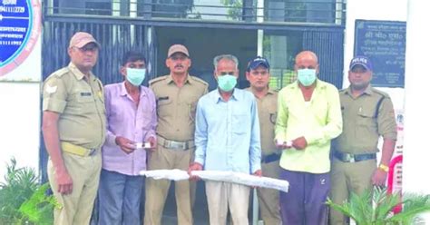 जंगल में शिकार करने के फिराक में थे आरोपित, बंदूक व कारतूस के साथ तीन ...