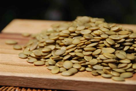 Pepitas de calabaza - Pati Jinich en Español