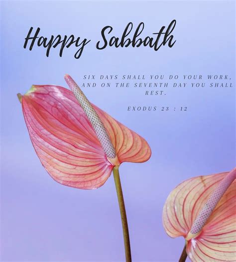 Lord of the sabbath book of matthew – Artofit