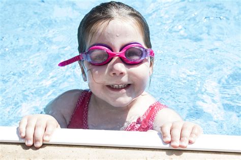 How To Keep Bees Away From Your Swimming Pool - Live Bee Removal