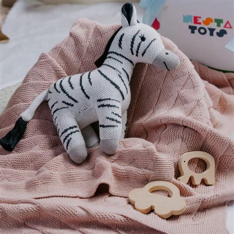 Newborn & Baby Shower Gift Set | Baby Essentials – NESTA TOYS