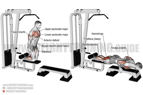 Teeter Row Machine Workouts 的图像结果
