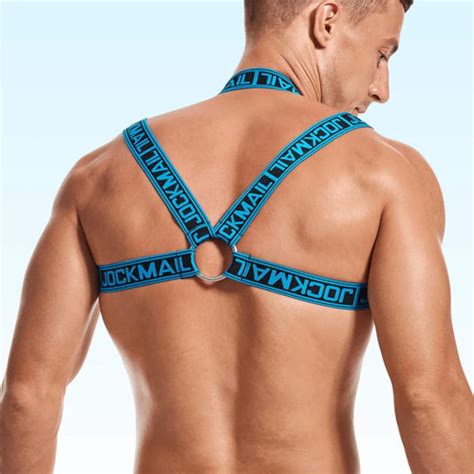 Image result for JavaScript Harness