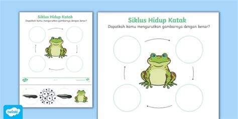 Lembar Aktivitas Siklus Hidup Katak (teacher made) - Twinkl