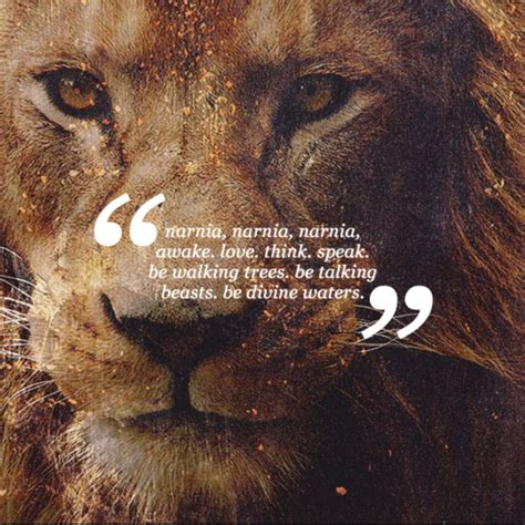 Narnia Wisdom Quotes