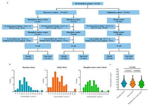 Development and Validation of Pretreatment Serum Total Bilirubin as a ...