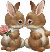 Image result for Bunnies and Flowers