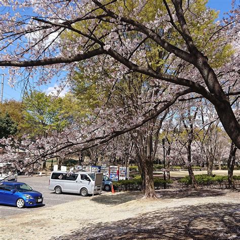 HANAGAWA UNDO PARK - All You Need to Know BEFORE You Go 2026 (with ...