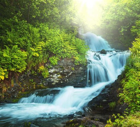 Image result for Types of Water Spring Facts