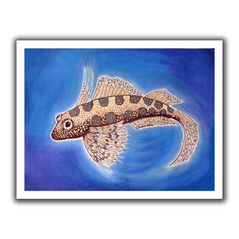 ArtWall Nat Morley 'Dragonet Fish' Unwrapped Flat Canvas Artwork, 22 by ...