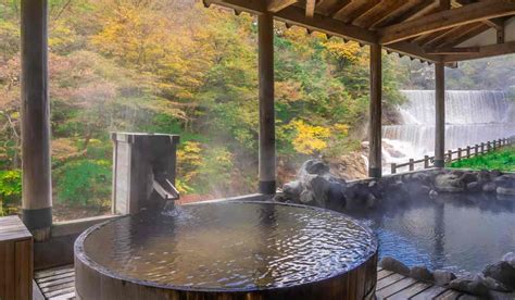 Image result for Onsen Types