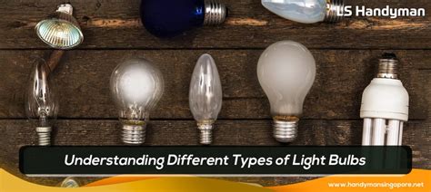 Image result for Types of Light Bulbs Explained
