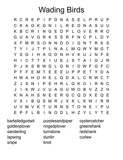 Morecambe Bay Sealife Crossword - WordMint
