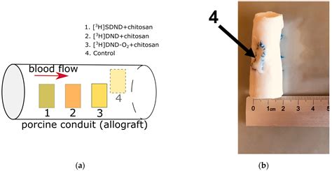 Tritium-Labeled Nanodiamonds as an Instrument to Analyze Bioprosthetic ...