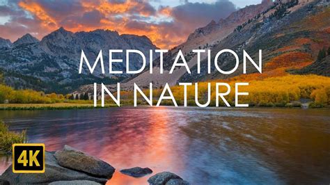 Relax 的图像结果