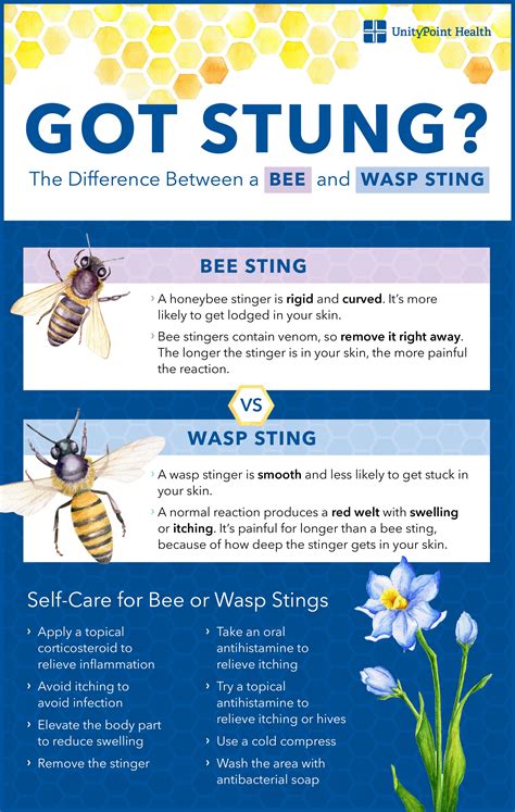Best 13 Bee Sting Swelling: Advice Including when To Seek Help – Artofit