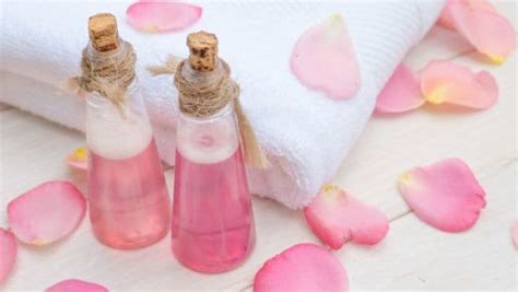 Rose Water Side Effects : गुलाब जल लगा रहे हैं तो पहले जान लें उसके ये ...