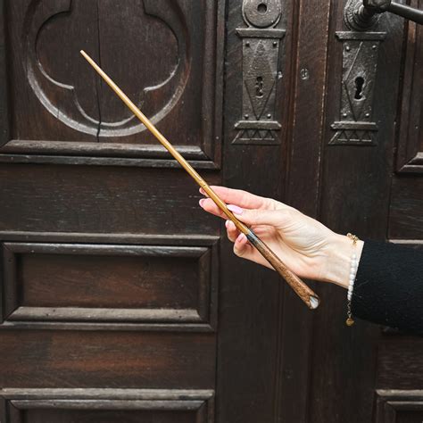 Newt Scamander Wand in Blister - Fantastic Beasts | Elbenwald