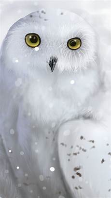 Snowy Owl Wallpaper Iphone by Snowy Owl 1080x1920 Mobile Wallpaper Owl Wallpaper Snowy Owl Wallpaper Iphone