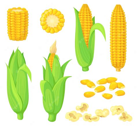 Corn Clipart Transparent Png - Corn On The Cob Clipart , Free – Free ...